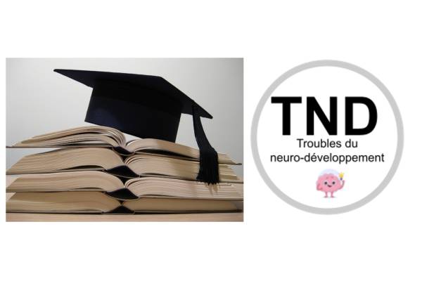 Proposition sujet de thèse